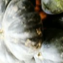 늘청춘건강원 이미지