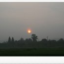 새벽시장 이미지