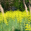 초원목장2 이미지