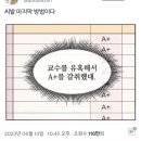 솔랑구 | 2023 모아보기 - 6월 (2)