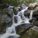 여름소풍 이미지