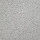 버블버블(클린세탁) 이미지