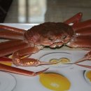 영덕대게 이미지