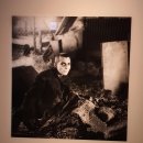 알타카파 | 광화문 세종문화회관 미술관 / 라이프 사진전 THE LAST PRINT 관람 후기