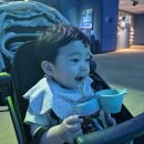어린이집 준비물 필수템 대한소아치과학회 추천 모윰 원터치 빨대컵 해피데이 에디션 솔직후기