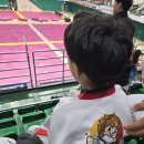 효천태권도장 이미지