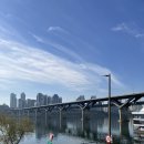 마에스트로 B.T.S 콘서트 | 서울 나들이와 창모 콘서트 concrete spark 후기