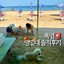 포항시북구37 | 포항 영일대해수욕장 폭염 속 실제 방문 후기 (주차, 체감온도, 샤워장 정보)