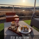 누렁이농장 | 문경 카페 추천, 자연 속 힐링 카페 포내리 방문 후기