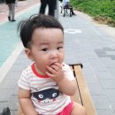 날아라떡볶이
