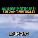 동산중학교 이미지