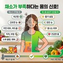 몸의형태 | 내 몸이 보내는 SOS! 채소가 부족하다는 몸의 신호 5가지 (ft. 식습관 개선 후기)