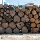 주막집식당 이미지