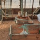 내유농장 이미지