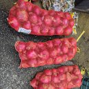 양파상회 이미지