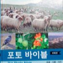 포토바이블 이미지