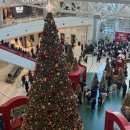 Tom and Jerry | 톰과 제리: 황금나침반 대소동 중국 자본에 잠식당한 추억의 만화(cgv 관람 솔직후기+경품 받기)