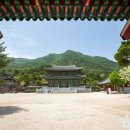 우림양봉산업 이미지