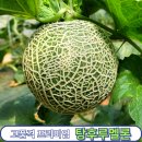 더일구다