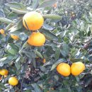 위미신용협동조합 이미지