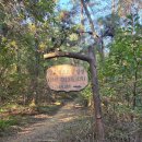 평곡리 석조보살입상 | 삽교 민초들 미륵부처 - 예산 삽교읍 석조보살입상