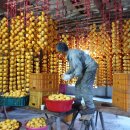 마천농장 이미지