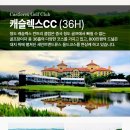 더 좋아 골프 이미지