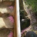 채플린지역아동센터 이미지