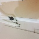 신성소프트 이미지