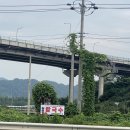 (주)산야초로 | 김해 진영 산야초능이칼국수