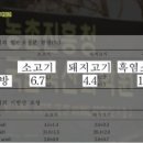 녹색흑염소 이미지