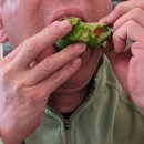 들녘쌈밥 이미지