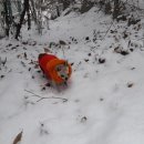 다나은동물약국 이미지