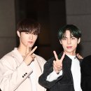 비엑스브이 뉴스엔