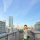 엔에이핏 | 일본 도쿄 옷 쇼핑 리스트 (롯폰기힐즈 보테가베네타, 일본 로컬 브랜드 추천)