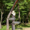 곡성-128 | 문경에 가 볼만한 곳 3 문경새재도립공원