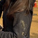 안산승마클럽 | 2025-2 경희대 승마 교양 수업 후기