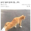 참교육 이미지
