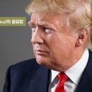 트럼프부동산중개 이미지