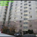 포항시북구59 이미지