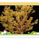 해성가설산업 - 나주시 건재로 494 | 저자 중 4명이 한국인과 미국인이다~~
