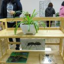 몬테소리유치원 이미지