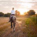 축산가축인공수정소 이미지
