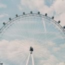 돼지우리 이미지