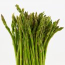 주현농장 이미지