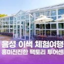 충북여행 음성가볼만한곳 흥미진진한 팩토리투어센터 & 품바재생예술체험촌 이미지