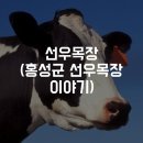 선우목장 이미지