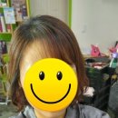 상남동242 이미지