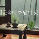 낮잠나무