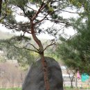 최희섭공원 이미지